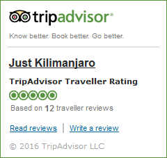 Trip Advisor